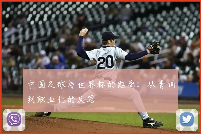 中国足球与世界杯的距离：从青训到职业化的反思