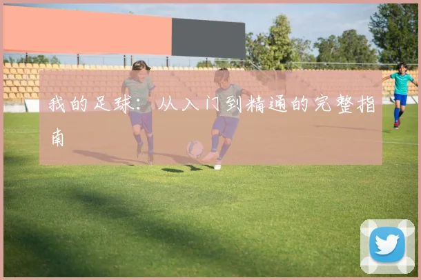 我的足球：从入门到精通的完整指南