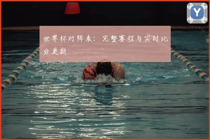 世界杯对阵表：完整赛程与实时比分更新
